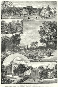 Les Jardins botaniques royaux (gravure)