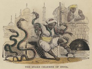 Le Charmeur de Serpents de l