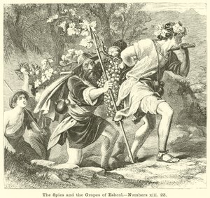 Les espions et les raisins d