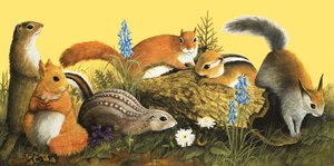 La famille écureuil, illustration de "Il était une fois" (gouache sur papier)