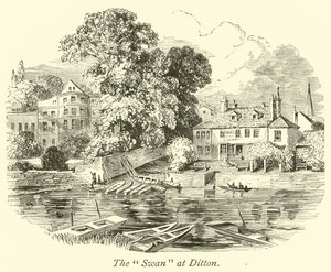 Le Cygne à Ditton
