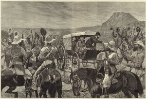 La guerre du Transvaal