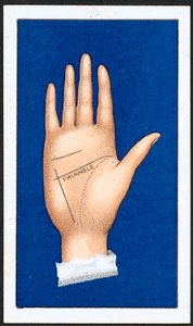 Le Triangle (1)