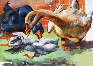 Le vilain petit canard