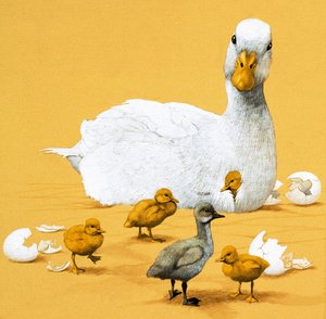 Le Vilain Petit Canard