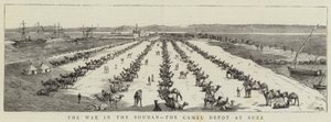 La guerre au Soudan, le dépôt de chameaux à Suez - English School