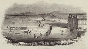 Le lac de glace de Wenham - English School