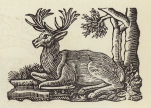 Le Cerf Blanc - English School