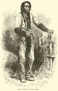 Le Loup, un Indien Ute