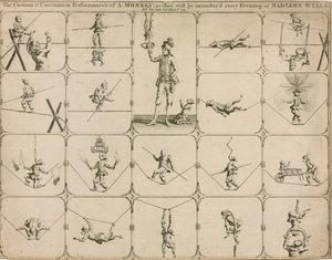 La performance curieuse et inhabituelle d