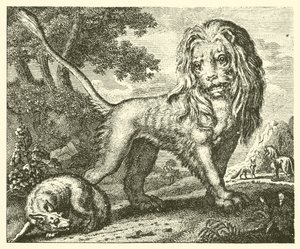 Le renard et le lion
