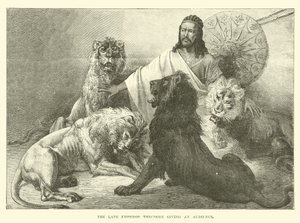 Feu l
