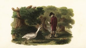 Le jars Jacquot et son ami humain, un gentilhomme français - English School
