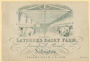 La grange de traite, Ferme laitière de Laycocks, Liverpool Road, Islington - English School