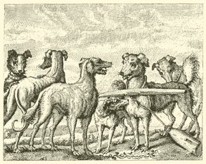 Le chien espiègle (gravure) - English School