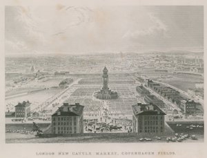 Le nouveau Marché aux Bestiaux Métropolitain, Copenhagen Fields, Londres