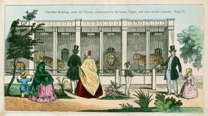 Le nouveau bâtiment, sous la terrasse, construit pour les lions, tigres et autres animaux similaires