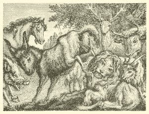 Le vieux lion (gravure)