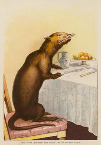 La loutre monta sur la chaise et sur la table