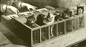 Le piano des chats - English School