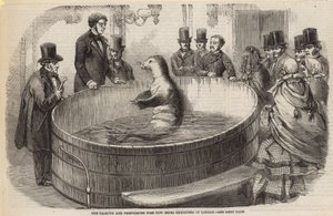 Le poisson parlant et performant actuellement exposé à Londres