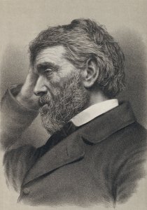 Thomas Carlyle (gravure)