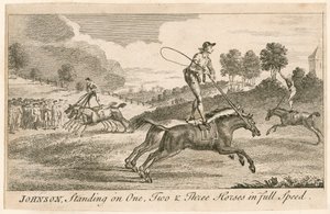 Thomas Johnson debout sur un, deux et trois chevaux à pleine vitesse