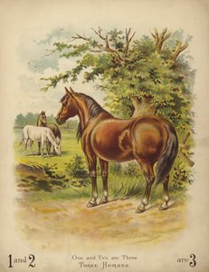 Trois chevaux