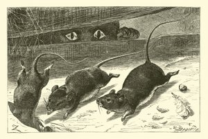 Trois petites souris