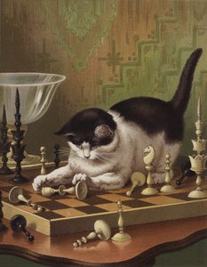 Tib jouant aux échecs