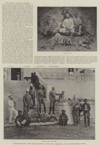 Chasse au tigre et chasse au cerf avec le guépard, près de Hyderabad, Inde - English School