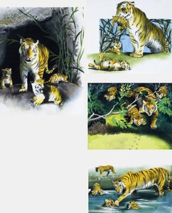 Tigre et petits - English School
