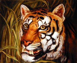 Tigre, tigre brûlant... - English School