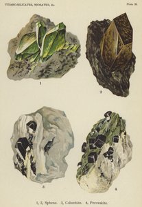 Titano-silicates, niobates, sphène, columbite, pérovskite (lithographie en couleur) - English School
