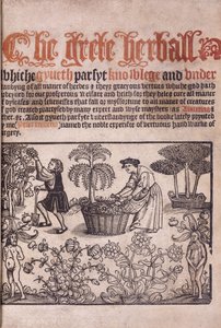 Page de titre illustrant une scène de jardin avec des personnages, 1529