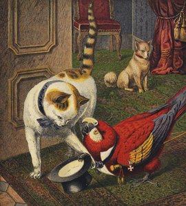 Tittums et Fido