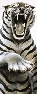 Les dents et les griffes
