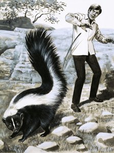 Dent et griffe : La Moufette