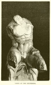 Torso du Belvédère - English School