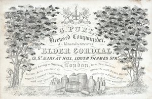 Carte de visite de G Purt - English School