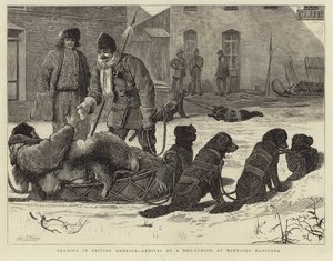 Commerce en Amérique britannique - Arrivée d