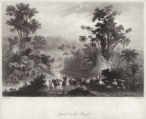 Voyages au Brésil