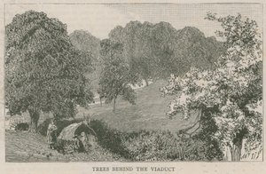 Arbres derrière le viaduc