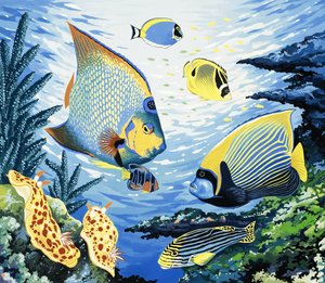 Poissons tropicaux - English School