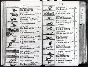 Deux pages de Orbis Sensualium Pictus par Comenius, 1659 - English School