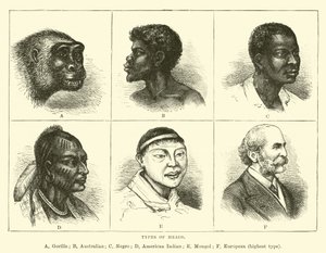 Types de têtes - English School