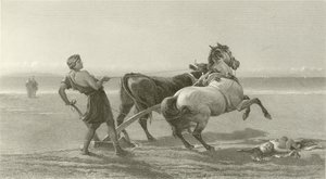 Ulysse labourant le rivage (gravure)