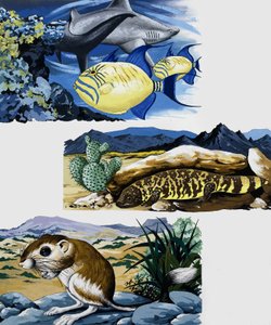 Créatures sous-marines et souris - English School