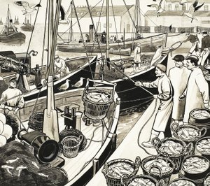 Port de pêche non identifié avec poissons sur le quai - English School