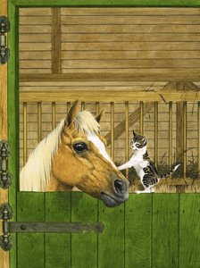 Cheval non identifié et chaton joueur